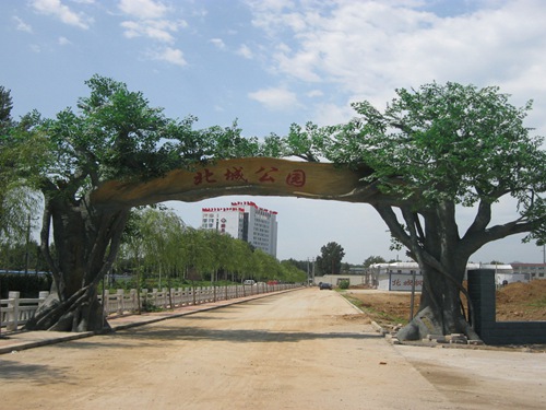 阳高县假树大门,设计安装阳高县假树大门厂家