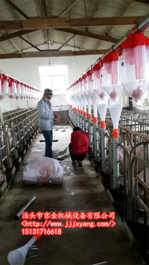 长春猪场自动化喂料线养殖先驱、智能产业