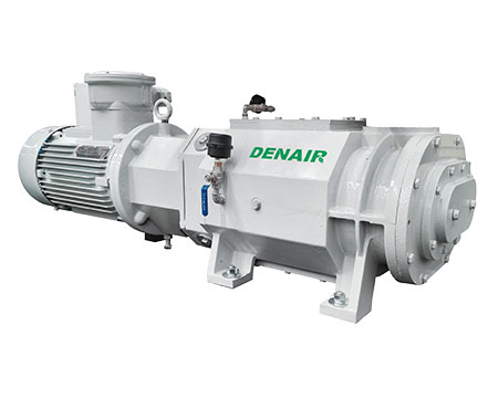 DS(DSV)系列干式螺杆真空泵