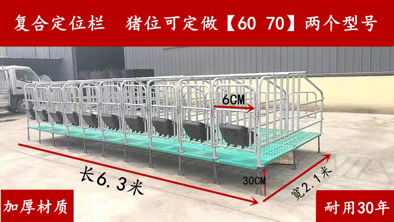 母猪限位栏  猪用定位栏  厂家直销畜牧设备