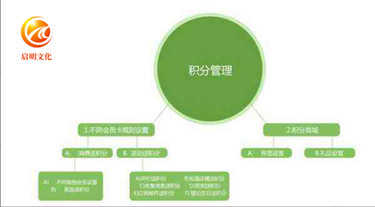 企业数据化管理,广州积分激励制度,启明文化