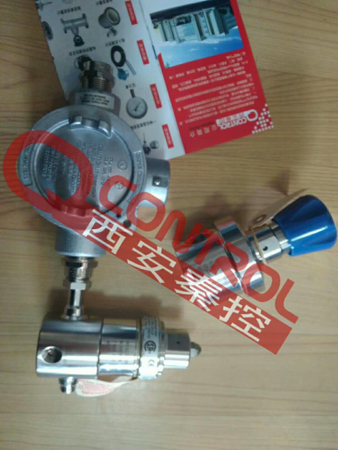 進口蒸汽伴熱減壓閥GO中國代理 H2-1Z55A3E111