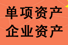 惠州公司总资产评估，企业整体评估，单项资产评估