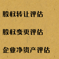 深圳公司股权转让评估，公司净资产评估，股权权益评估