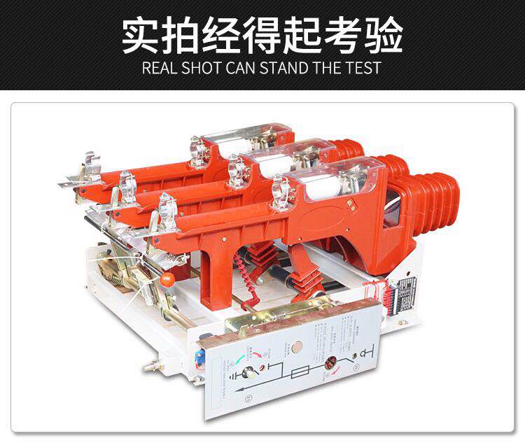 　FZ（R）N21－40.5D型真空负荷开关一熔断器组合电器
