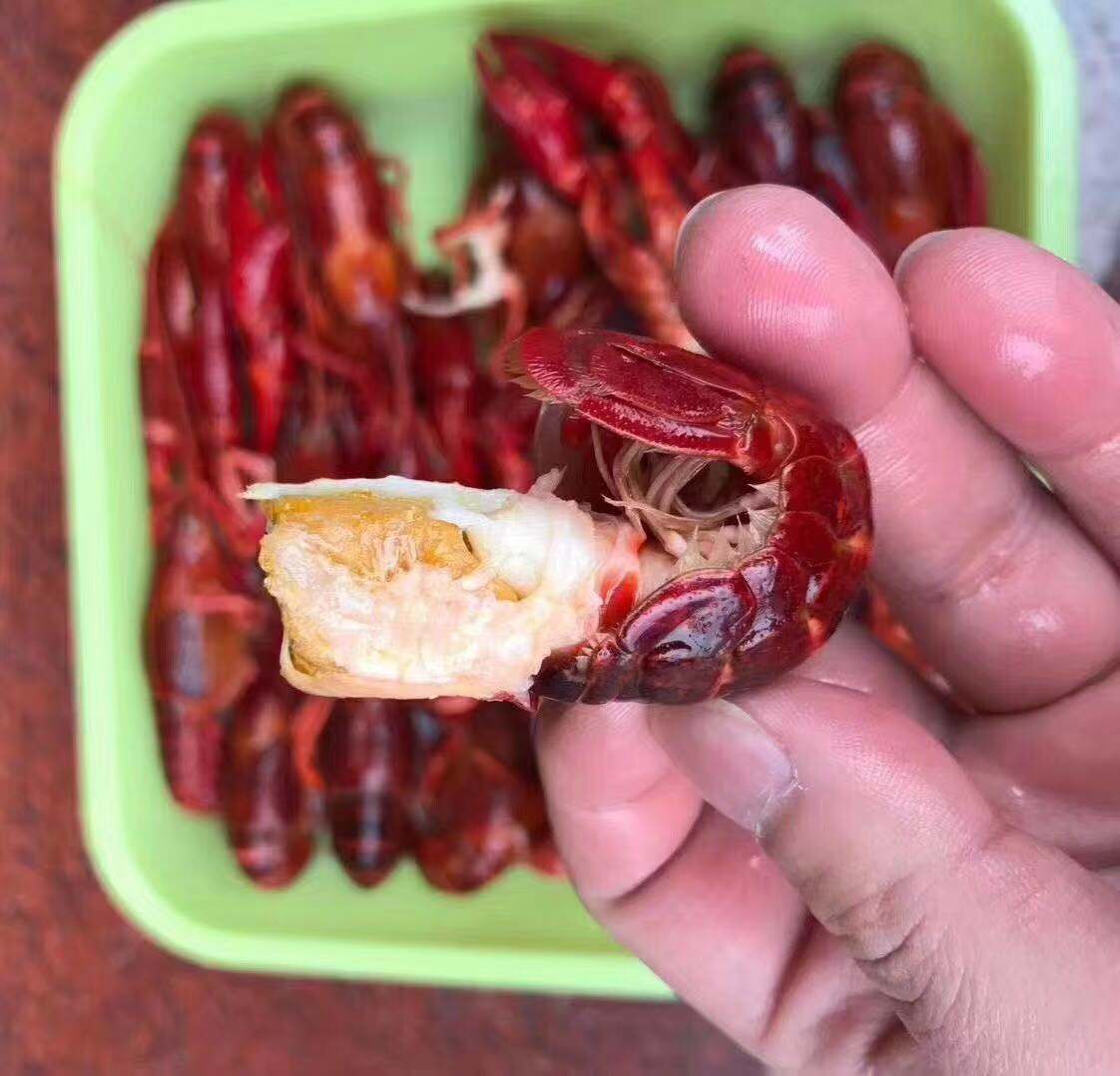 济南清水冻虾冻虾尾市场价格专业快速