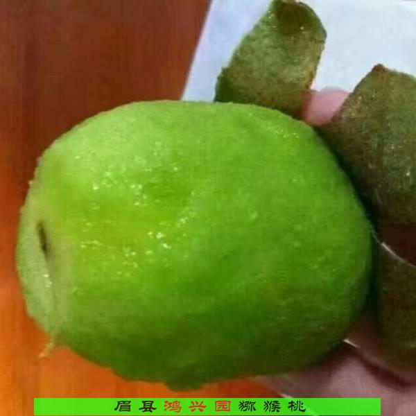 江西特价绿心海沃德猕猴桃优质中果5斤一箱25左右市场价格一斤多钱