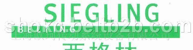 原装进口Siegling西格林-UR40U光伏硅片输送带、光伏弹力带