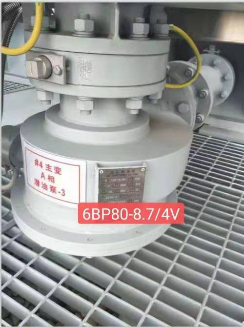 油泵6BP80-8.7/4V