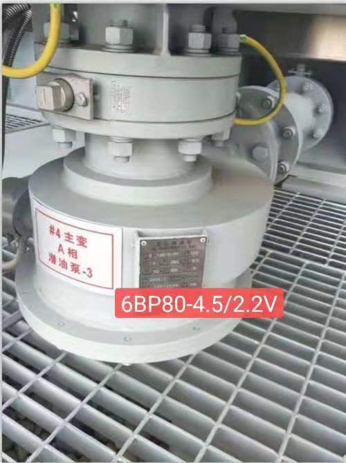 油泵6BP80-4.5/2.2V