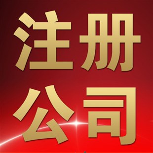 要注册一家上海股份公司