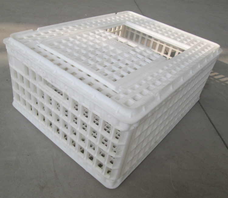 优质周转箱厂家  拉大鸡运输箱  农场用塑料鸡笼