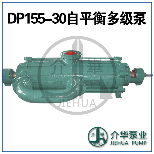 DP155-30X9卧式自平衡泵