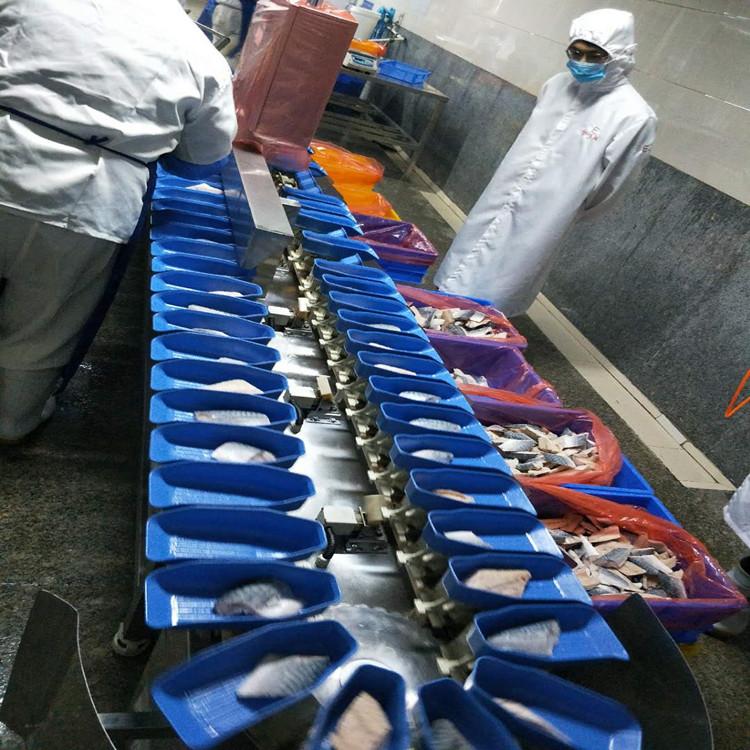 虾分级机 翻盘式虾自动分选机厂家--山东广昌机械
