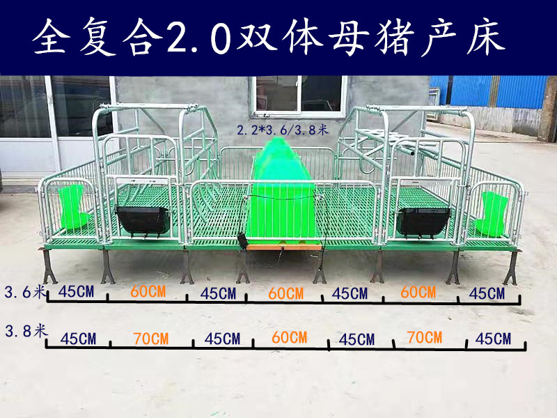 母猪产床 双体猪用产床 厂家直销畜牧设备