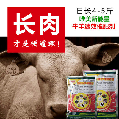 牛羊速效催肥剂厂家直销养牛日长5斤