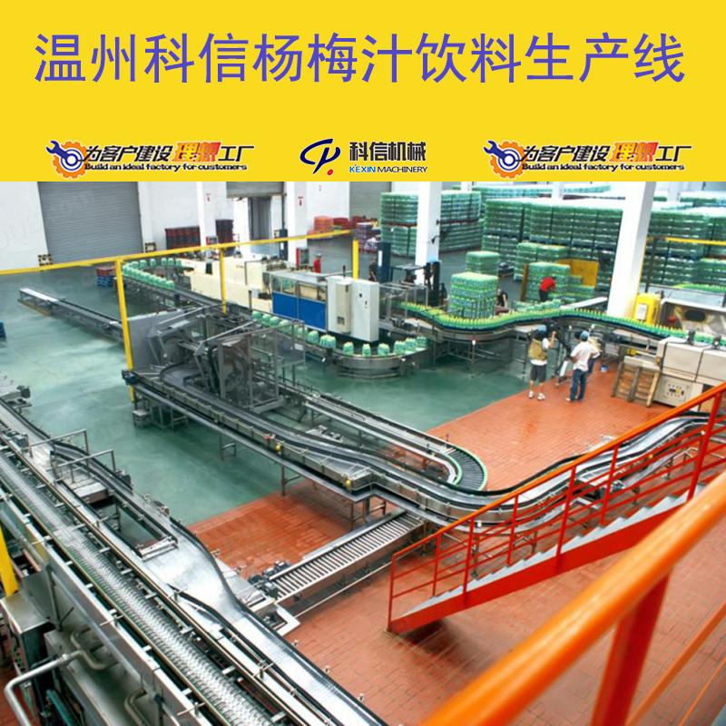 整套杨梅汁饮料生产设备 杨梅汁饮料灌装设备厂家