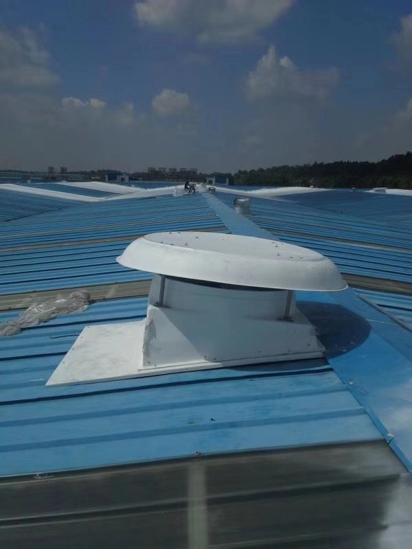 广东钢结构厂屋顶风机 佛山铁皮厂屋顶风机 南海屋顶排风设备 出口屋顶抽风机 蘑菇型风机
