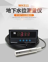 WH311万和深度传感器 4-20mA数字显示