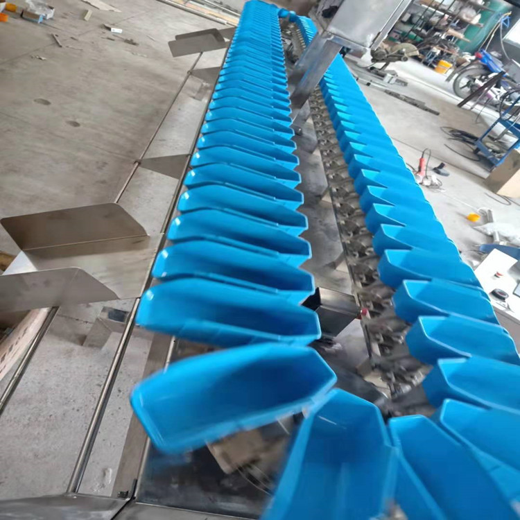 牡蛎分级机 转盘式牡蛎自动分选机厂家--山东广昌机械
