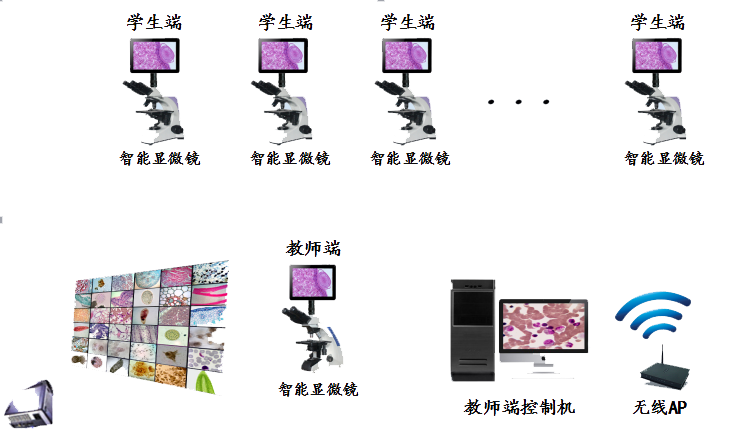 数码显微镜互动教室