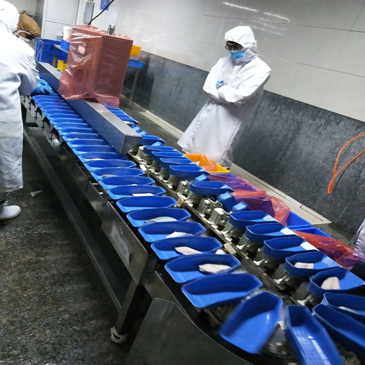 海蛎子分级机 转盘式牡蛎重量分选机厂家--山东广昌