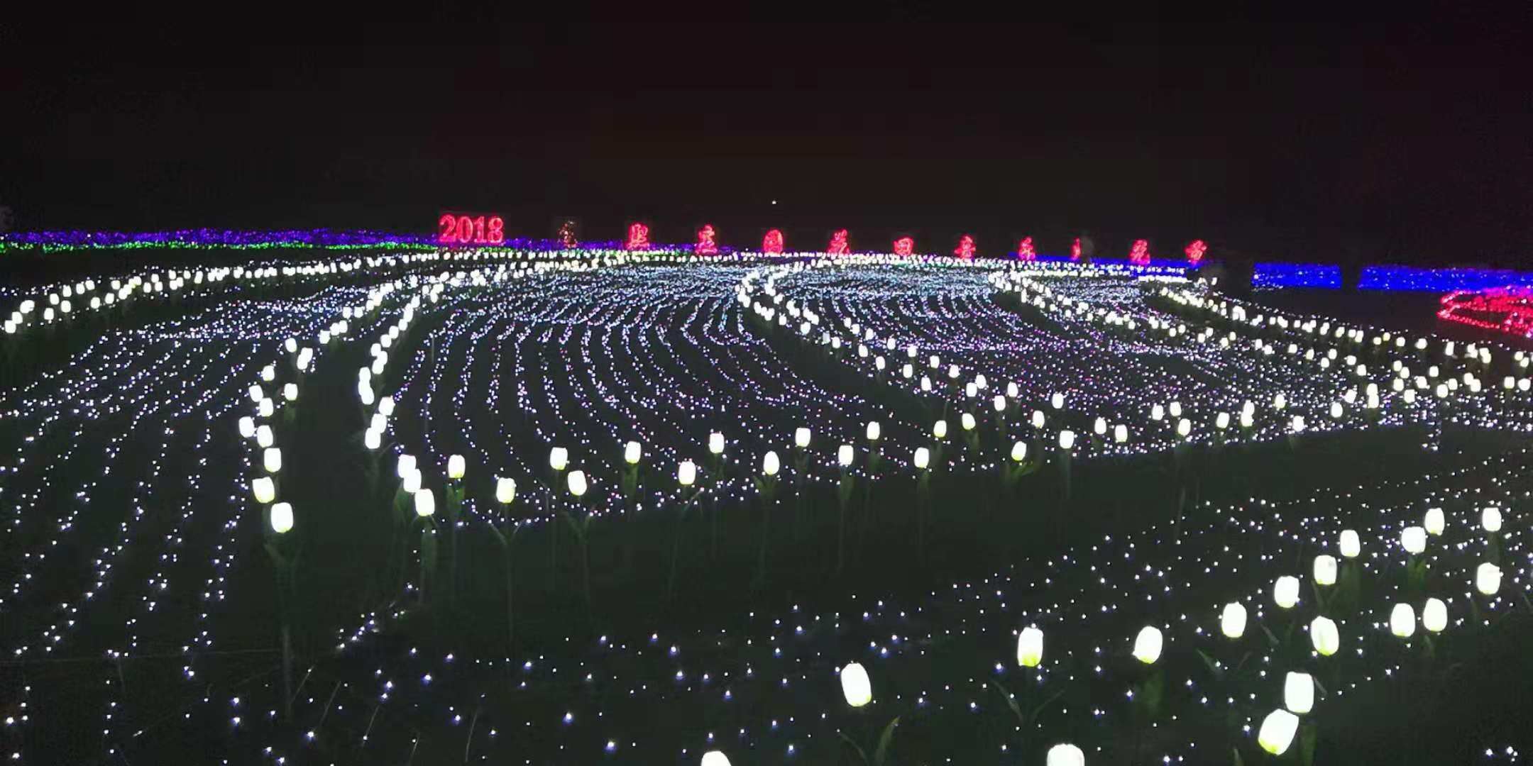 主题灯光节造型生产厂家 灯光节出售厂家