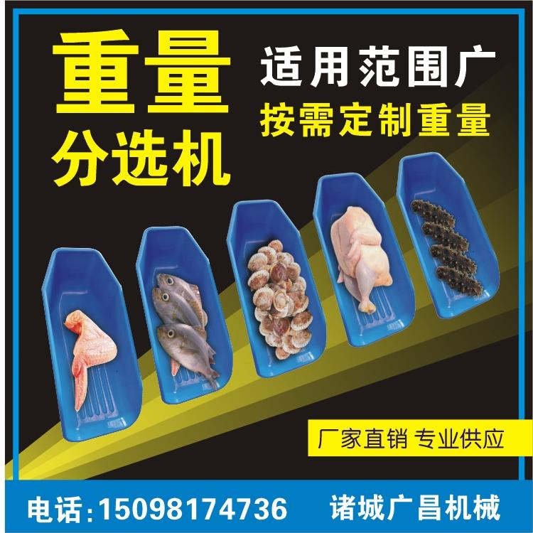 牡蛎分拣机 料盒式海蛎子重量分选机厂家--山东广昌
