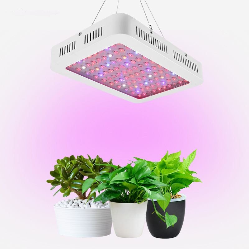 承越电商特供1000W双芯植物生长灯全光谱温室补光灯led植物生长灯厂家