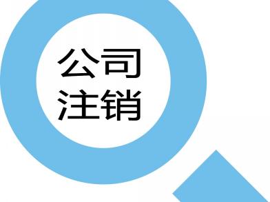 上海年度审计报告