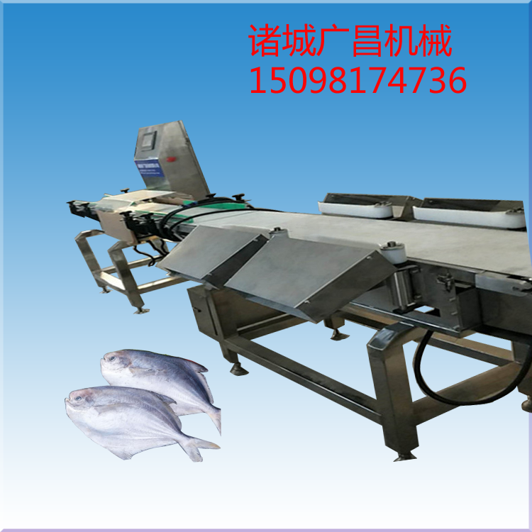 鱼分选机 皮带式鱼重量分级机销售--山东广昌机械