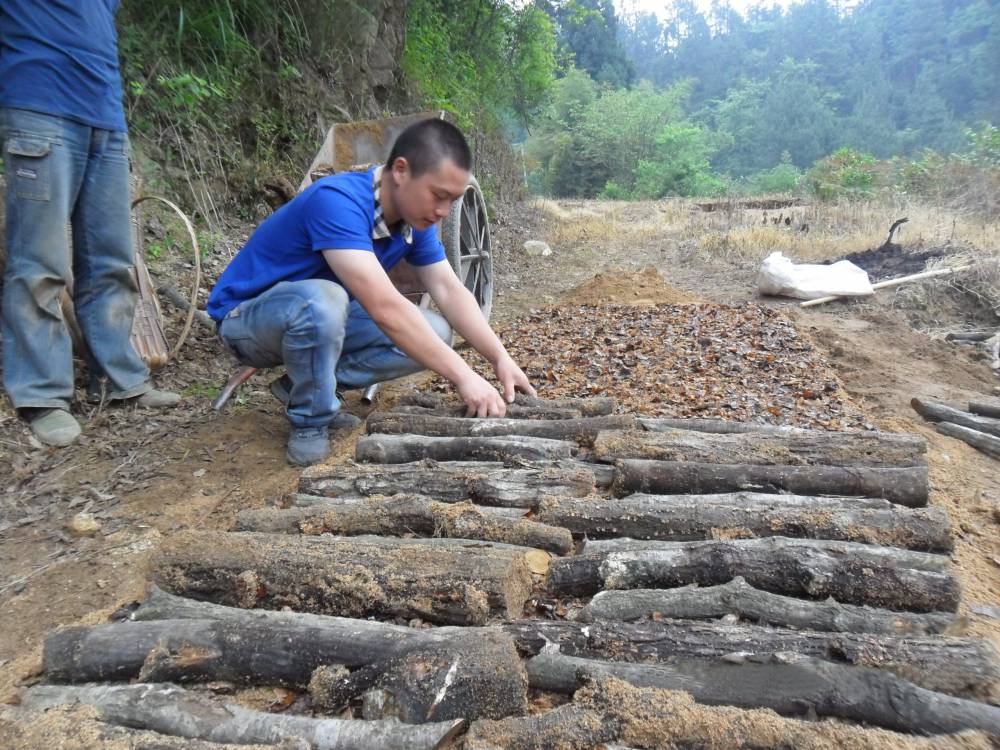 池州宣城干鲜天麻的价格多少中国一线品牌新闻