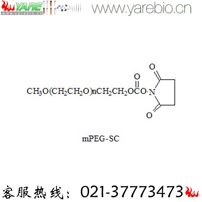 mPEG-SC 甲氧基聚乙二醇琥珀酰亚胺碳酸酯 甲氧基PEG活性酯 活化