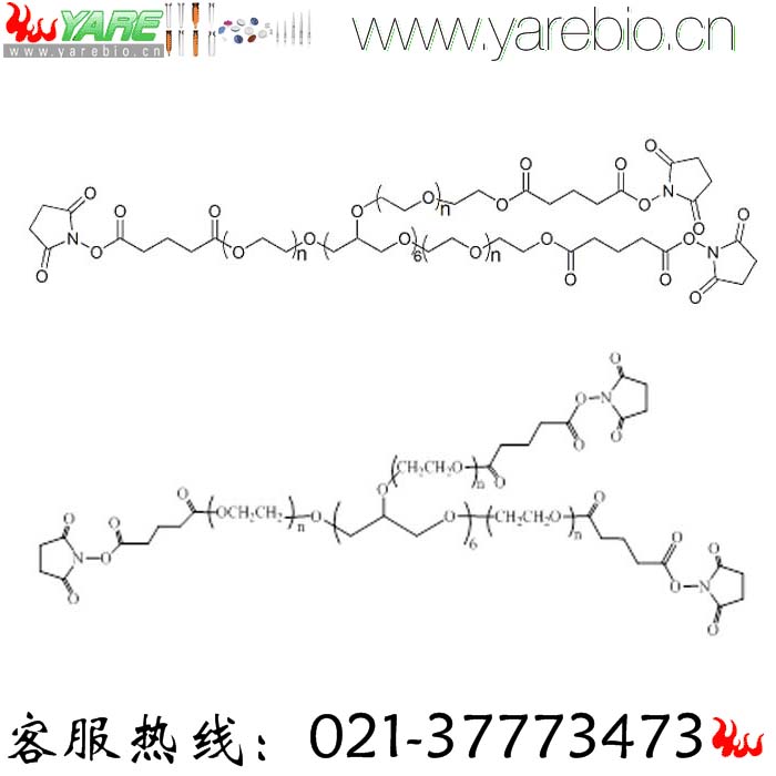 8Arm-PEG-SG 8 arm PEG-Succinimidyl 八臂PEG琥珀酰亚胺戊二酸酯