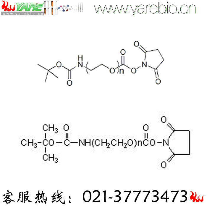 BOC-NH-PEG-NHS Boc-PEG活性酯 Boc聚乙二醇活性酯 PEG修饰剂