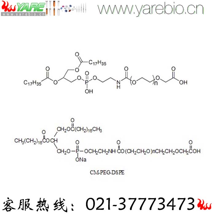 DSPE-PEG-COOH DSPE-PEG-Acid 磷脂PEG羧基 PEG修饰剂 PEG衍生物