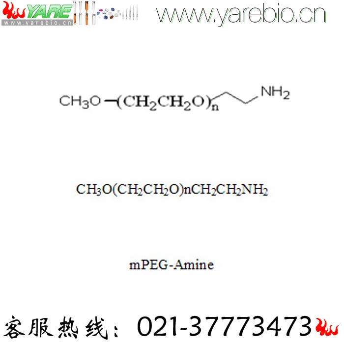 mPEG-NH2 mPEG-Amine 氨基聚乙二醇 PEG修饰剂 PEG衍生物 活化PEG