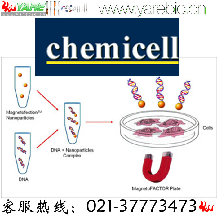 Chemicell PEG修饰剂 官能团聚乙二醇