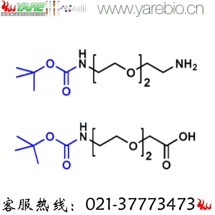 Boc-NH-PEG2-NH2 Boc-NH-PEG2-COOH 短链单分散PEG PEG修饰剂