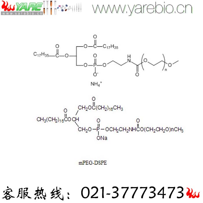 mPEG-DSPE 磷脂修饰聚乙二醇 活化PEG PEG修饰剂 官能团PEG衍生物