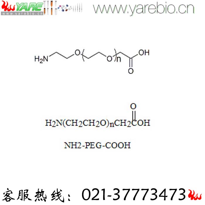 NH2-PEG-COOH 双异官能团PEG 活化PEG PEG修饰剂 官能团PEG衍生物