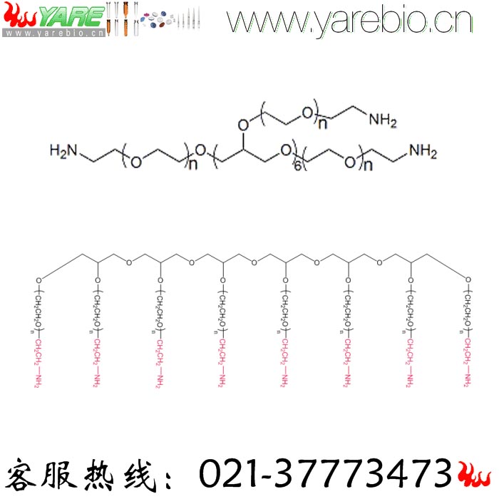 8arm-PEG-NH2 8 arm PEG-Amine 八臂PEG氨基 PEG修饰剂 PEG衍生物