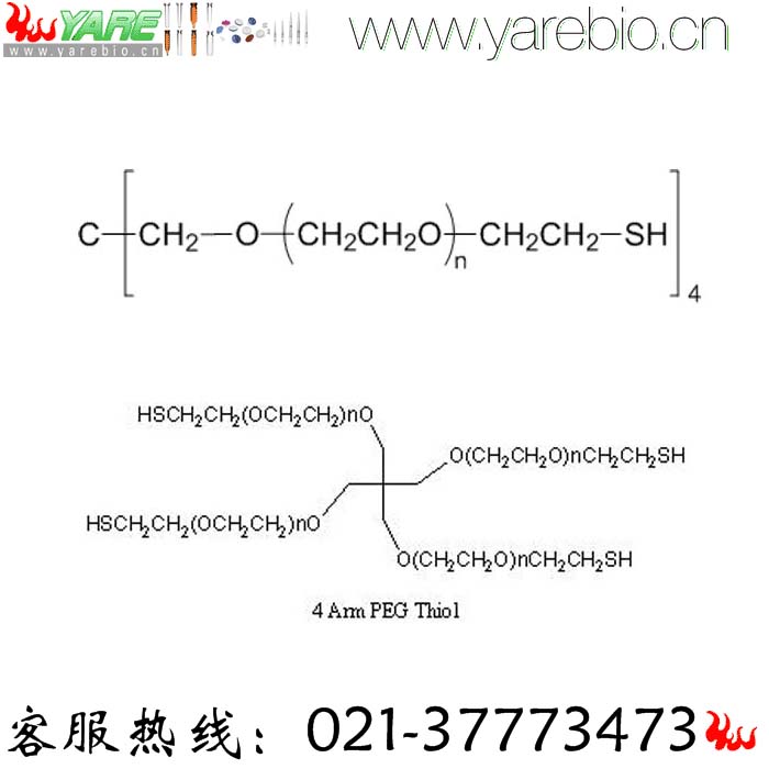 4arm-PEG-SH 4 arm PEG-Thiol 四臂PEG巯基 PEG修饰剂 PEG衍生物