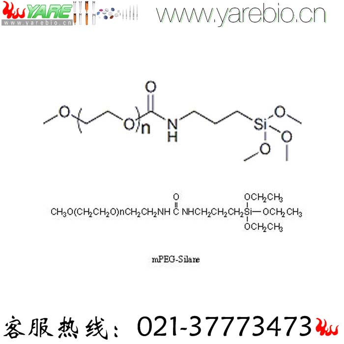 mPEG-Silane mPEG-Sil 甲氧基聚乙二醇硅烷 甲氧基PEG硅烷活化PEG