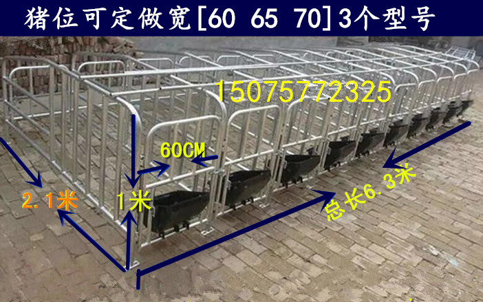 定位栏 新款猪用限位栏 现代化养猪设备