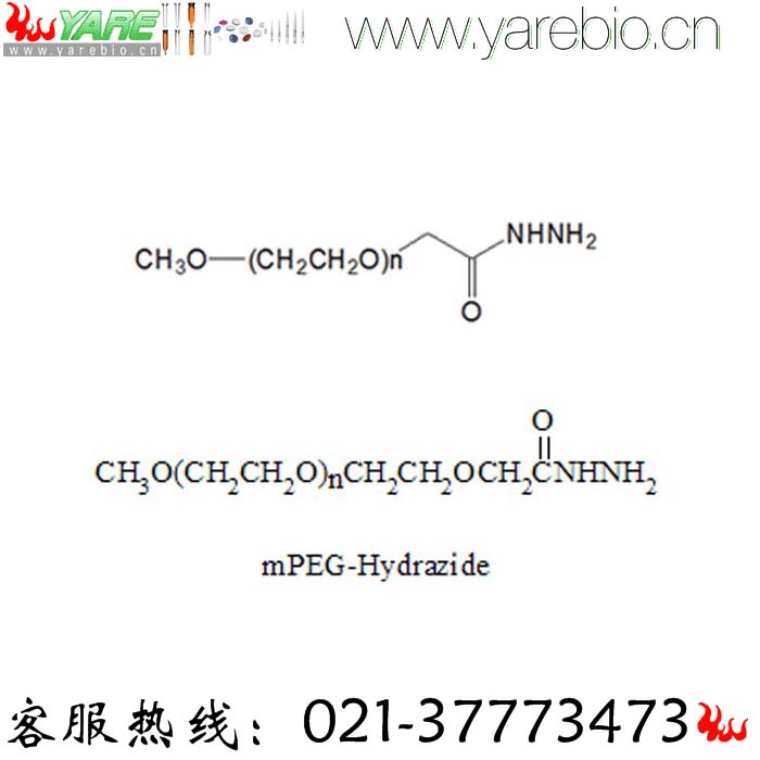 mPEG-Hydrazide mPEG-HZ 甲氧基聚乙二醇酰肼 甲氧基PEG酰肼