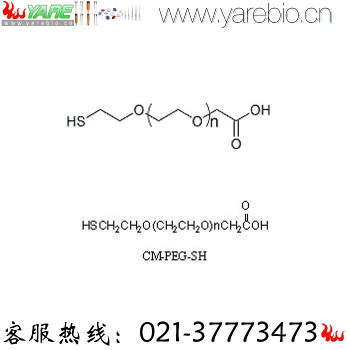 SH-PEG-COOH Thiol-PEG-Acid 巯基PEG羧基 PEG修饰剂 PEG衍生物