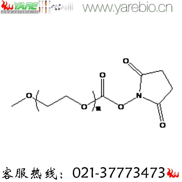 mPEG-NHS 甲氧基聚乙二醇琥珀酰亚胺酯 甲氧基PEG活性酯PEG修饰剂