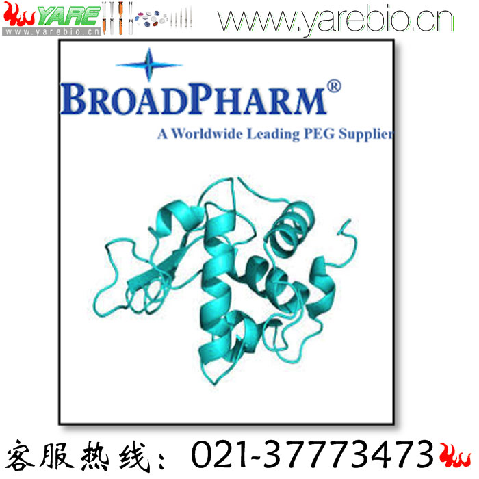 BroadPharm PEG修饰剂 官能团聚乙二醇