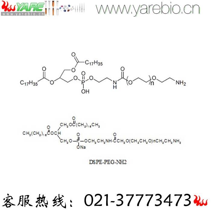 DSPE-PEG-NH2 DSPE-PEG-Amine 磷脂PEG氨基 PEG修饰剂 PEG衍生物